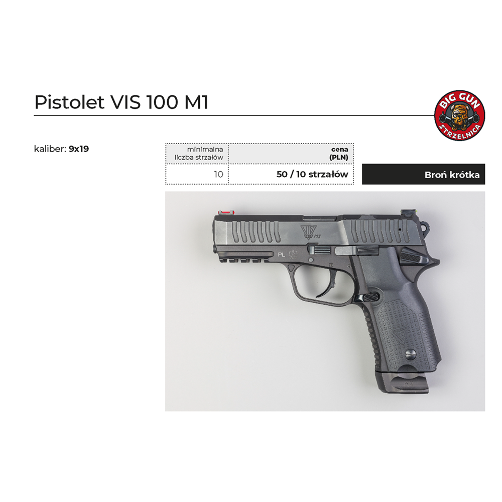 Pistolet VIS 100 M1