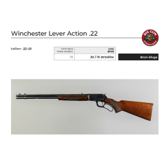 Winchester Lever Action .22